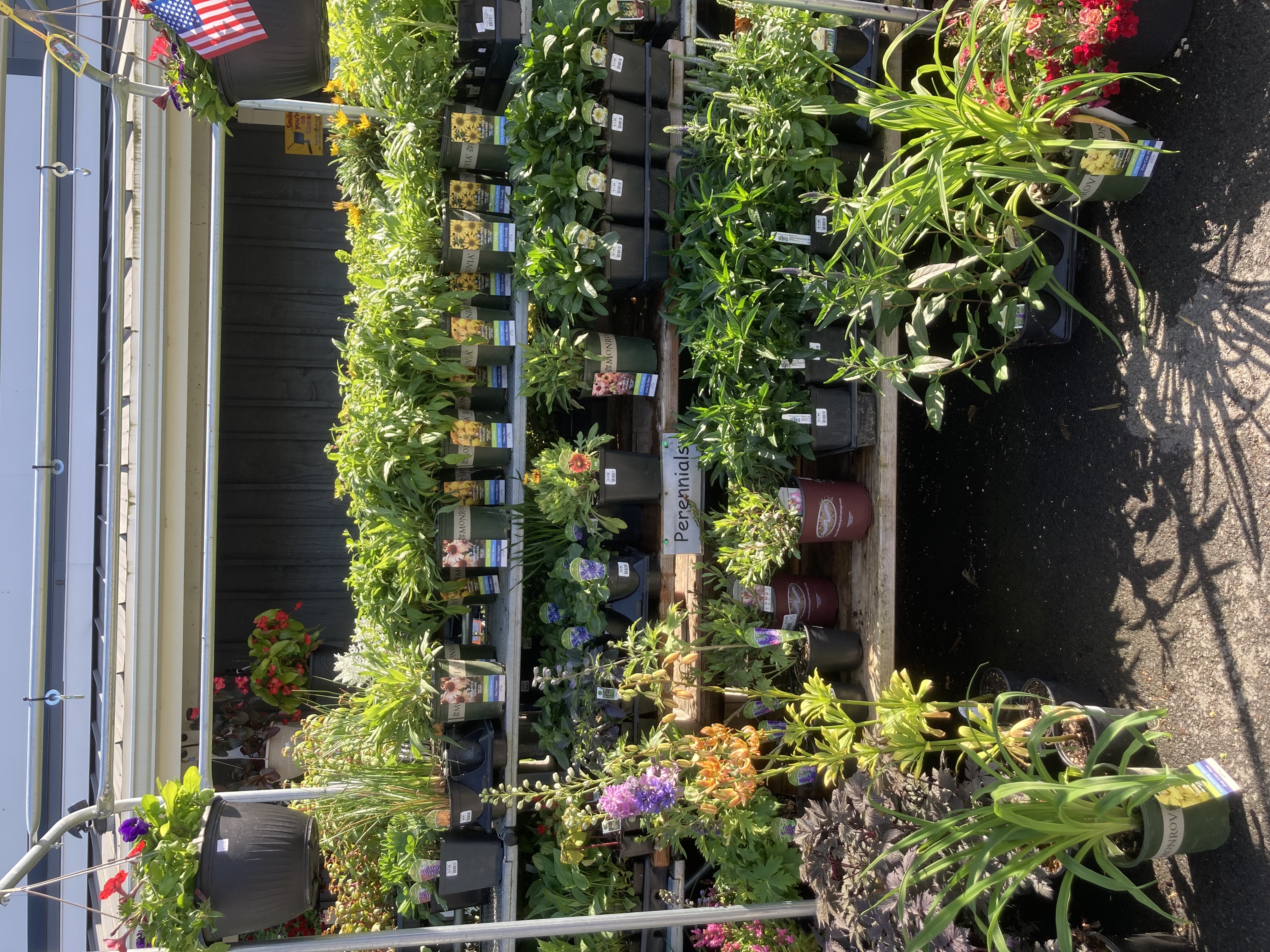 Inside Garden Center
