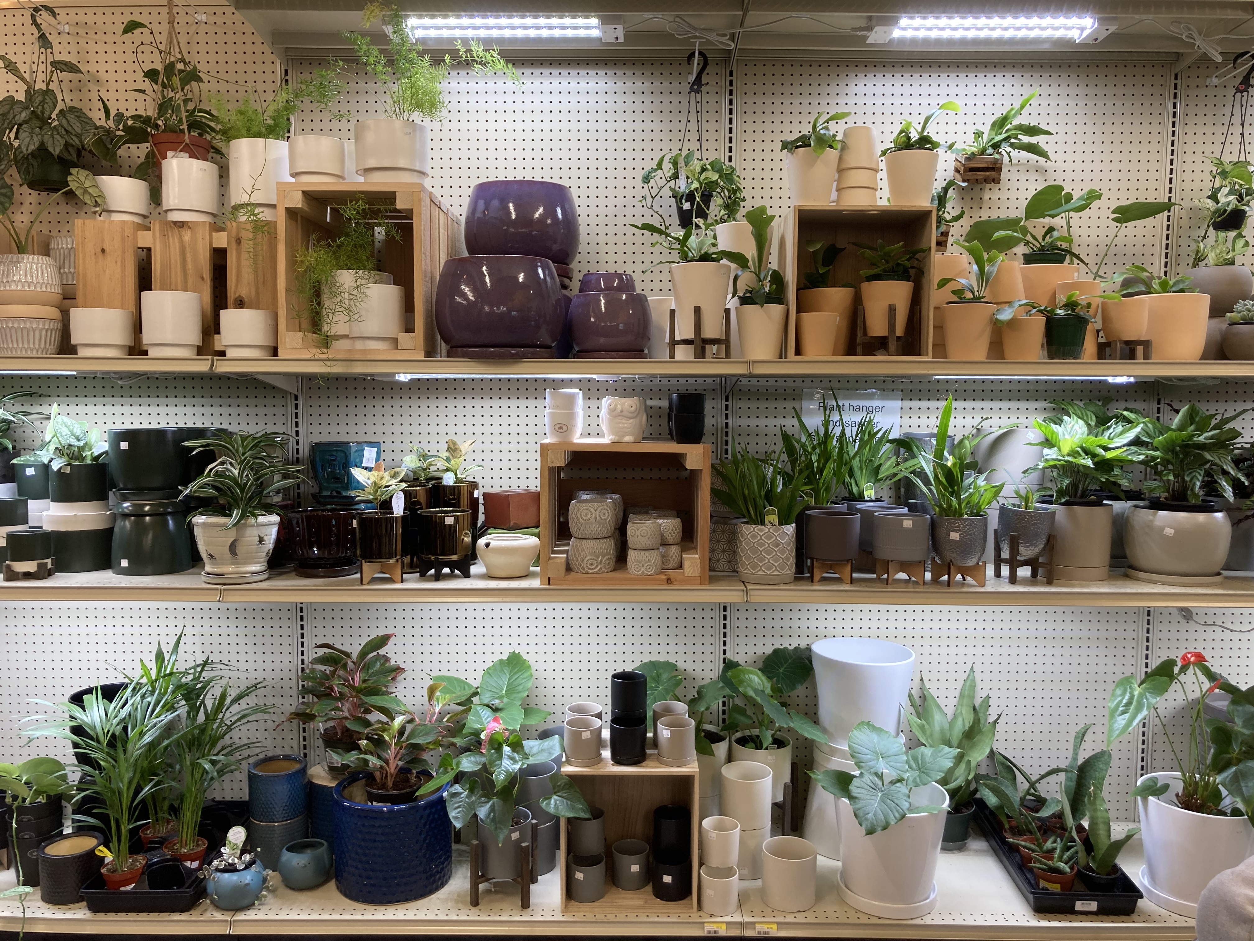 More Plants